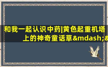 和我一起认识中药|黄色起重机塔上的神奇童话草——童话起重机草